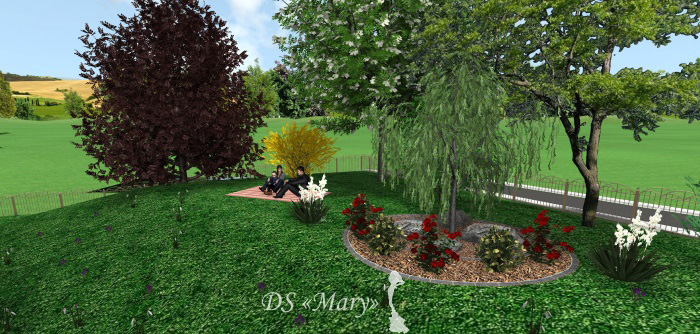 Zagospodarowanie terenu